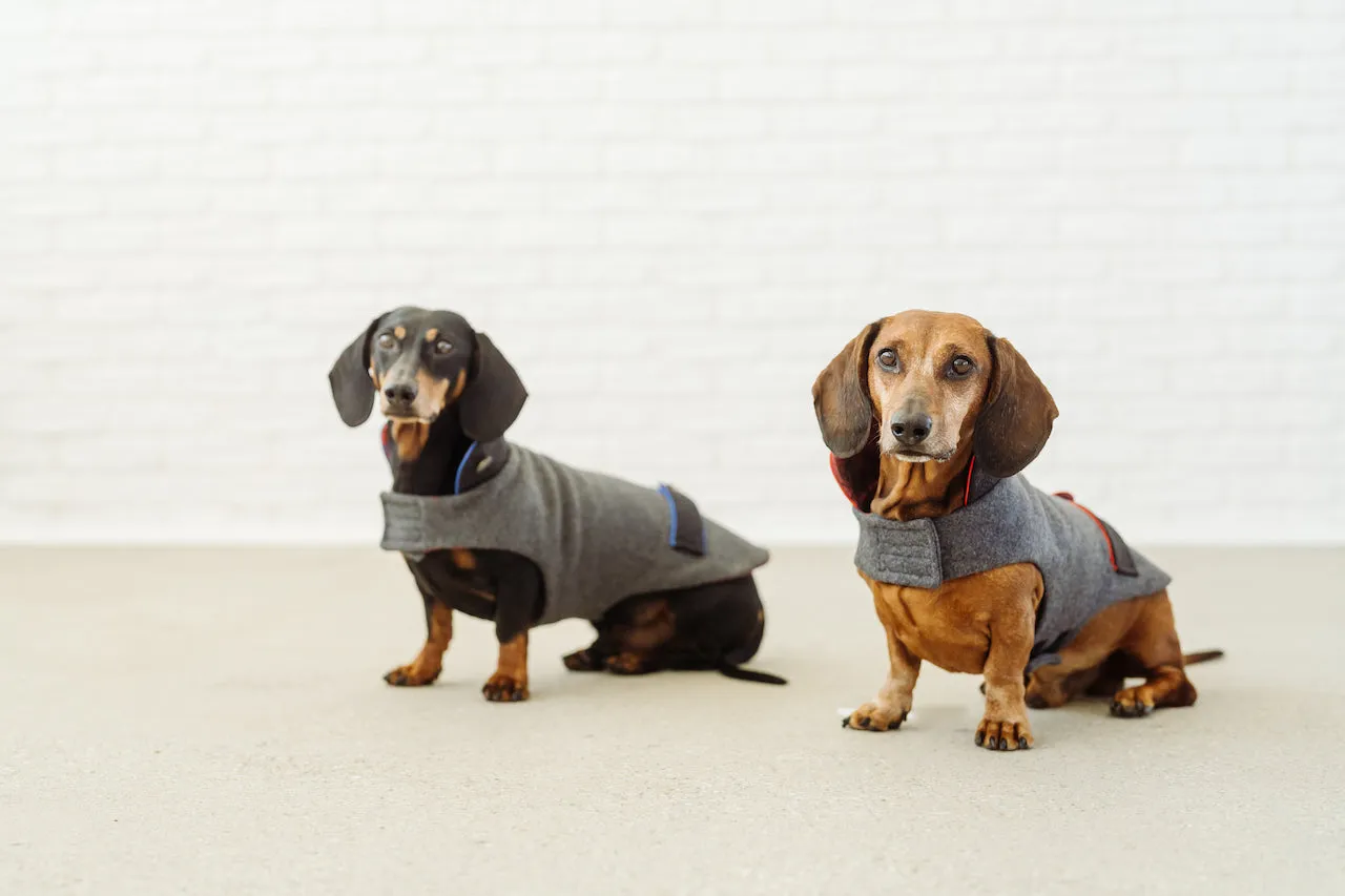 Bavarian dog coat Wastl